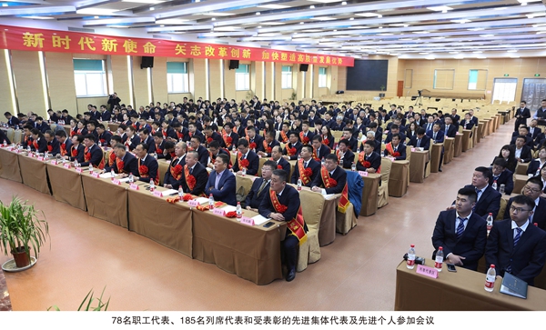 1552899246561056.jpg Q01A4156.jpg